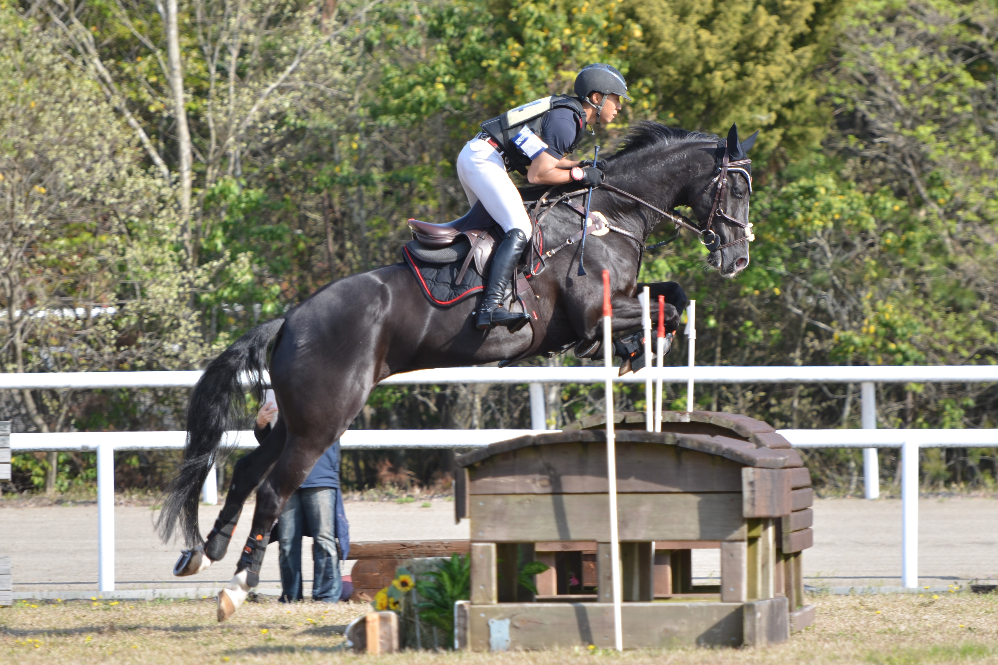 CCI Miki》最終日レポート 公益社団法人 日本馬術連盟 《Japan